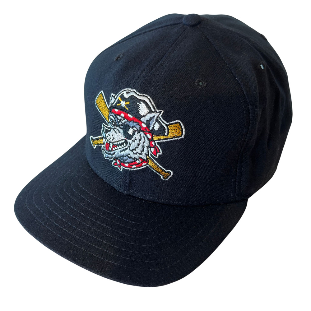 VTG Erie Seawolves Snapback Hat M/L New Era Dupont Visor Pro Model Made in USA